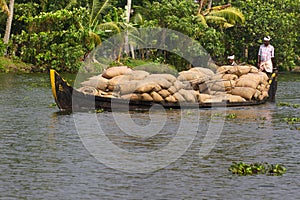 Allepey, Kerala, India Ã¢â¬â March 31, 2015: Indian man transport dwell with rice for boats. backwaters canoe in state